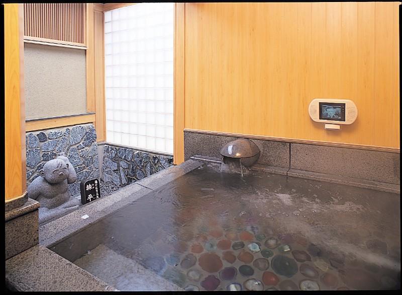 Hotel Seifuuen Shibata  Kemudahan gambar